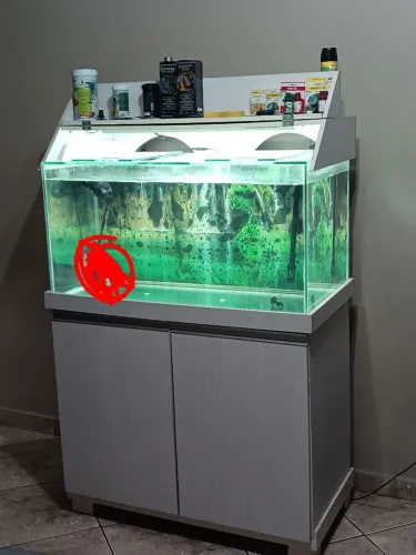 Aquário 250 litros
