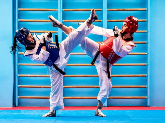 Professor de Taekwondo 
