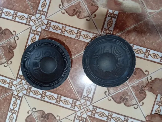 Vendo ou troco auto falante da Selenium de 12p de 400 rms cada