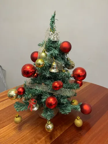 Árvore Natal pequena