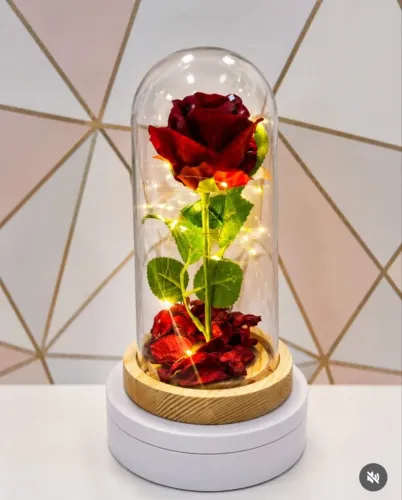Rosa na Cúpula com LED (PRESENTE DE DIA DOS NAMORADOS)