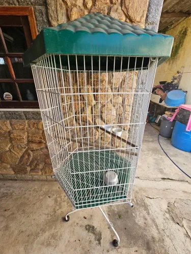 "Gaiola viveiro grande para pássaros (calopsita, agapornis, periquito, papagaio pequeno)"