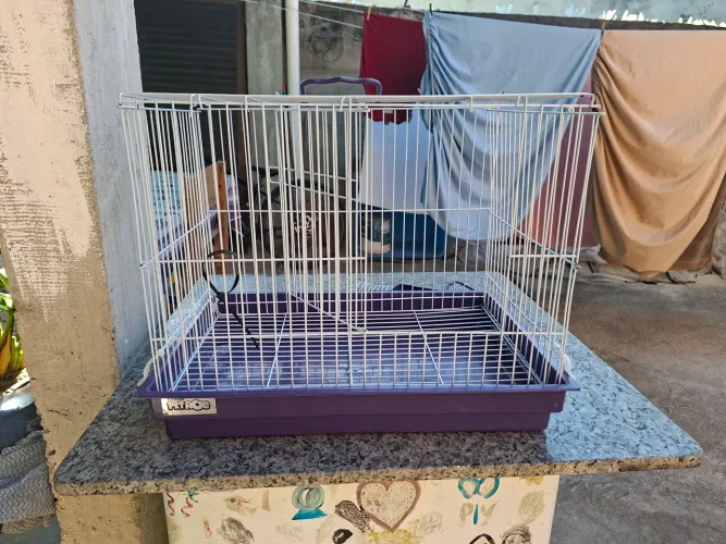 Gaiola Hamster Coelho Chinchila Porquinho Da India Grande
