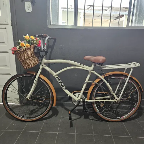 Bicicleta Vintage