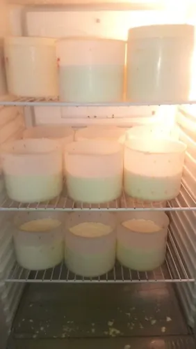 Queijo caipira