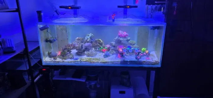 Aquário marinho completo 300l