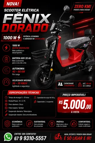 Moto Elétrica (Scooter) 1000W