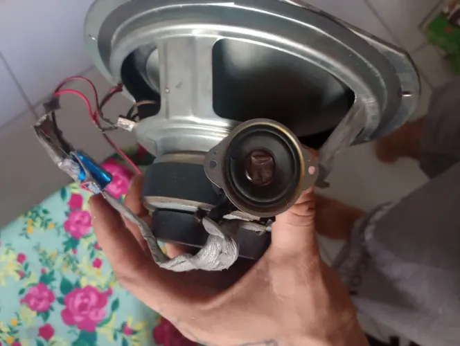 Auto falante