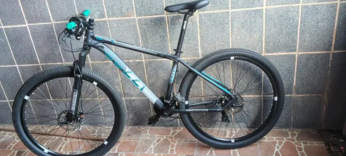 Bicicleta cole aro 29