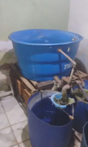 Caixa d'água para criação de peixe