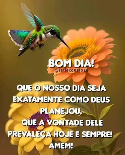 Case com plataforma