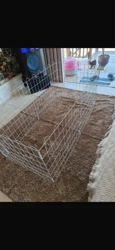 Vendo cercadinho para cachorro