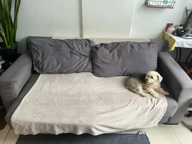 Sofa de 2 lugares
