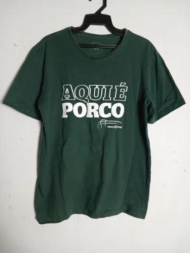 Camiseta de time palmeiras