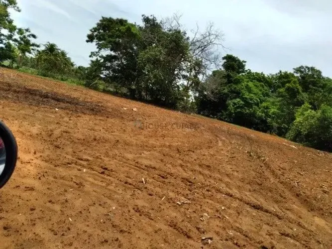 Fazenda na região de Alto Paraguai - MT