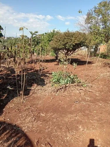 Terreno em Tamarana 1.000m