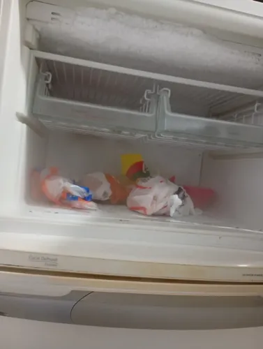 Vendo geladeira 