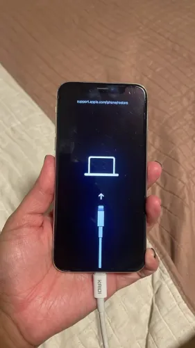 Iphone X - Retira de peças