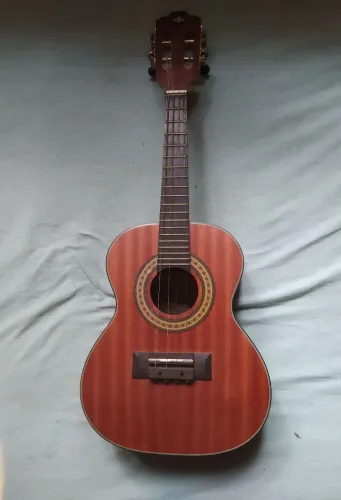 Cavaquinho Strinberg CS25EMOS