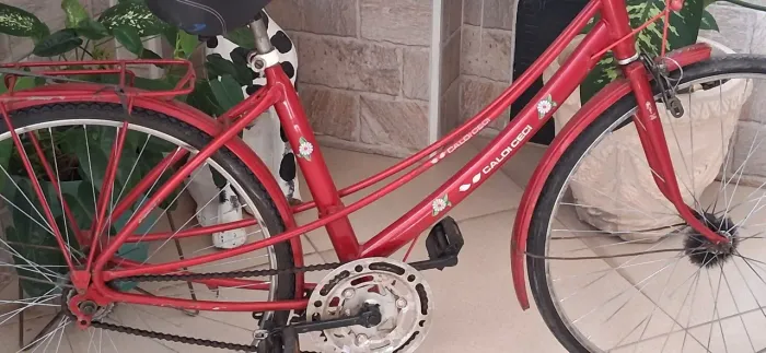 Bicicleta Caloi Cecí