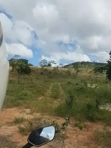 6 tarefas as margens da avenida pra quem quer começar um sítio do 0 por 140,000,00