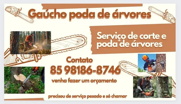 Desmatamento