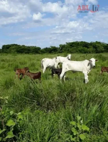Fazenda para Venda em Centro Bonfinópolis de Minas-MG