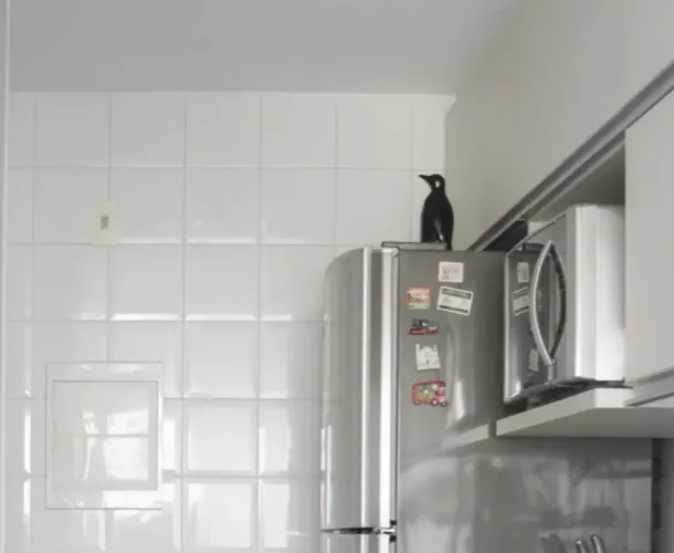 Lindo armário aéreo de cozinha, 10 peças, madeira resistente