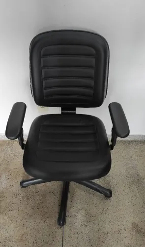 Cadeira Diretor ( Entrega grátis! )
