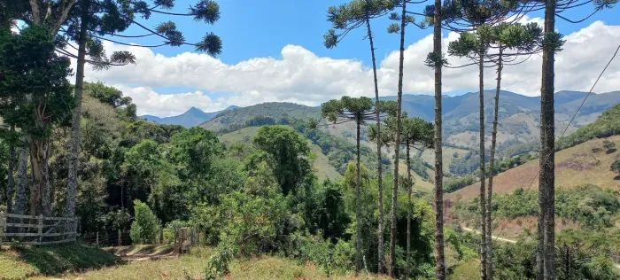 Incrível Fazenda em Alagoa-MG !!