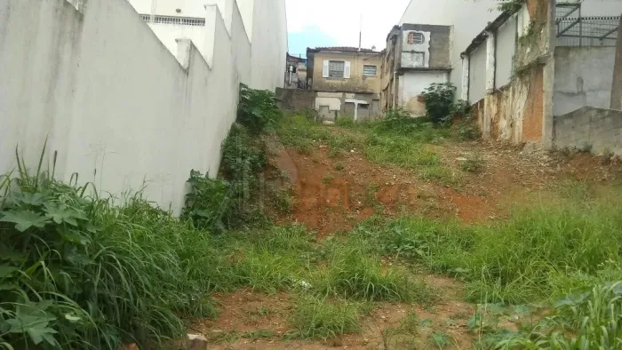 Terreno para Alugar, para instalação de antena celular no Tucuruvi , 10x30 , lugar alto