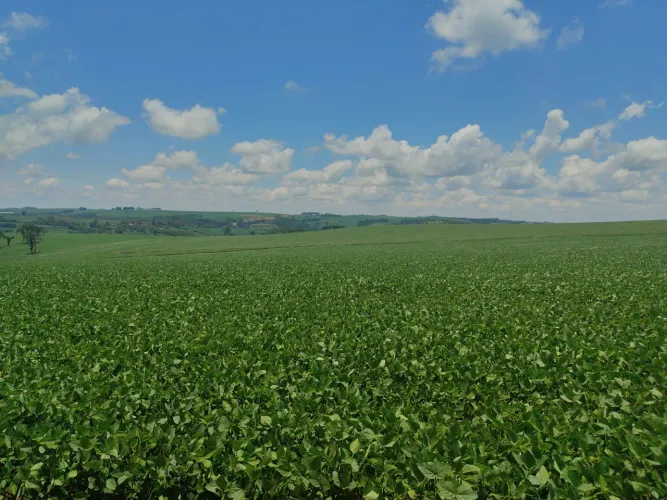 Fazenda com 80.75 alqueiro
