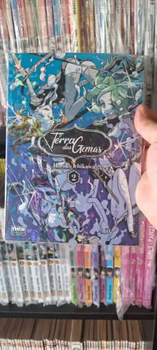 Terra das gemas volume 2