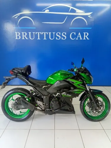 Kawasaki Z 300 2016