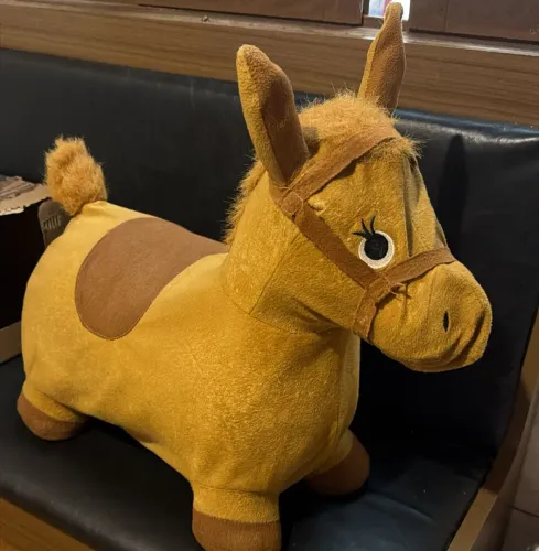 Cavalinho de criança para doação