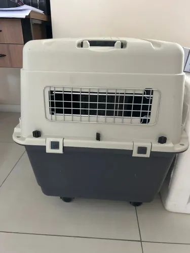 Caixa de transporte de PET