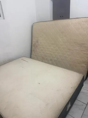 Cama