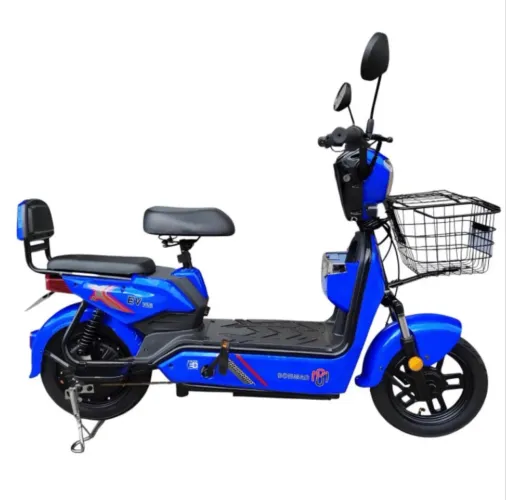 Moto Elétrica 500w