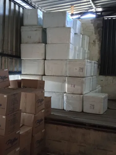 Caixa de isopor 60 litros