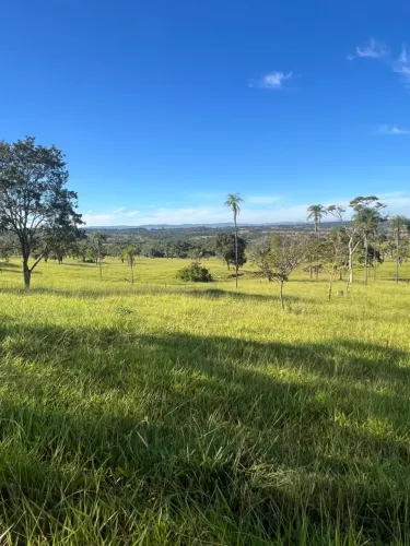 Fazenda - São Luis de Montes Belos - Go