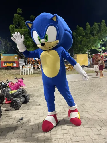 Mascote fantasia Sonic