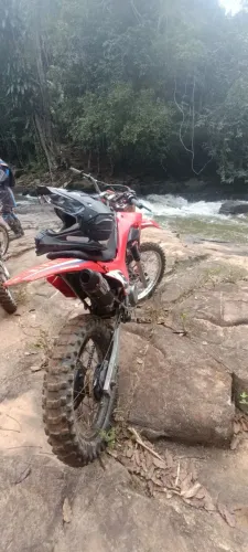 Vendo XR