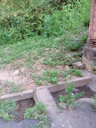 Vendeo terreno localizado na água mineral, tenho os documentos tudo certinho