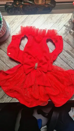 Vestido Pet Carnaval