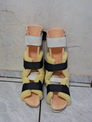 Bota