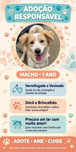 doação 