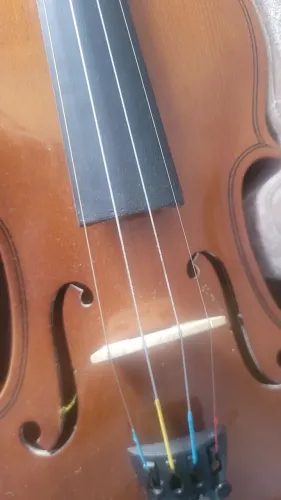 Violino 4/4