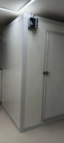 Camara frigorífica e mini túnel de congelamento.