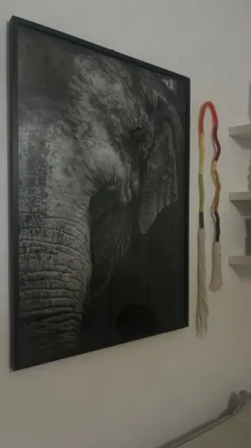 Quadro Decorativo Grande - Elefante P&B - 72x102cm - Vidro Frontal - Galeria 9
