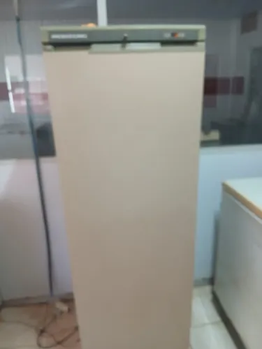 Freezer vertical